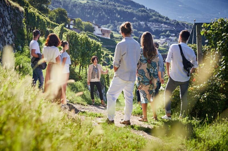 neustift-monastery-guided-vineyard-tour-with-tasting
