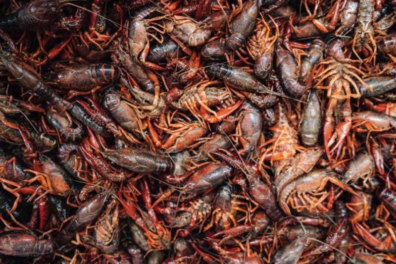 new-orleans-lower-garden-food-tour
