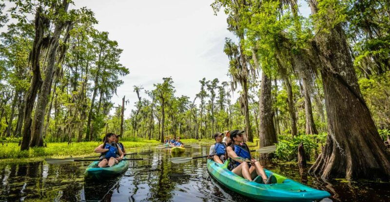 new-orleans-manchac-magic-kayak-swamp-tour