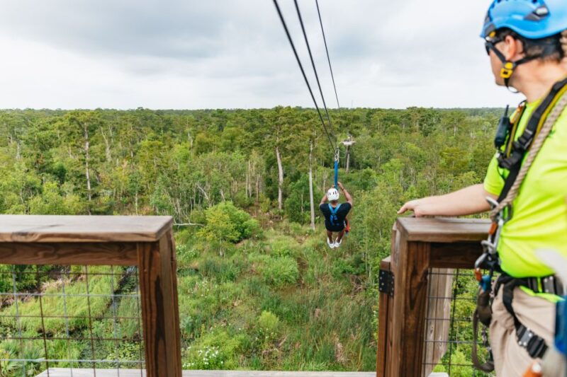 new-orleans-swamp-zipline-tour