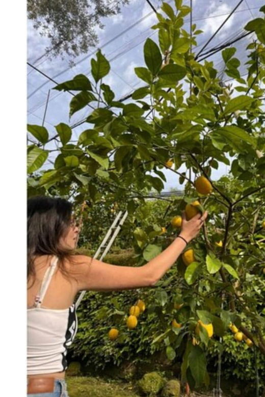 nonna-concettina-lemon-tour