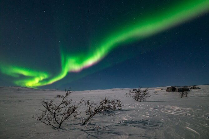 northern-lights-hunt