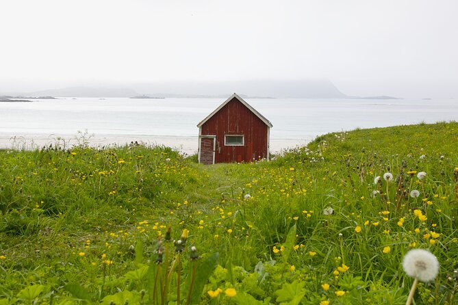 norway-lofoten-private-shore-excursion-from-leknes