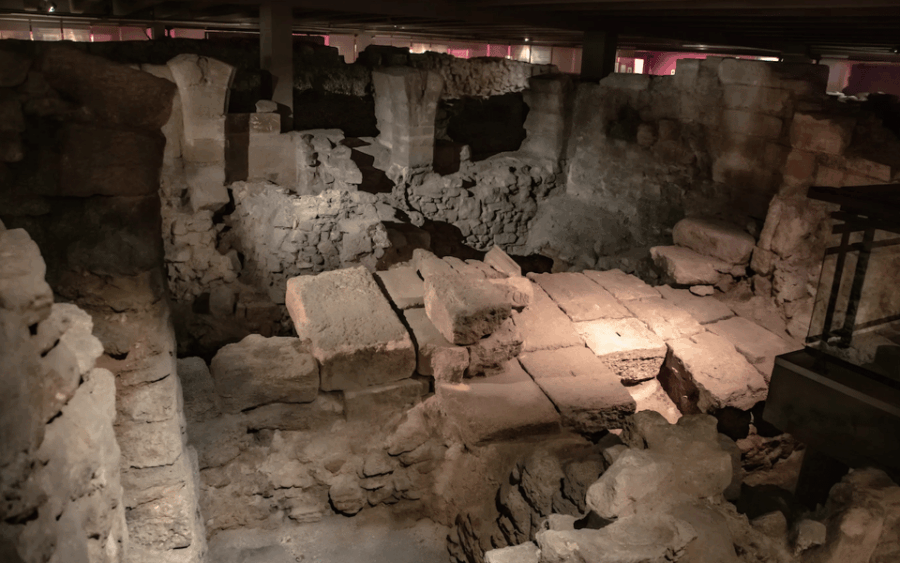 notre-dame-crypt-visit-with-an-archeologist-river-cruise