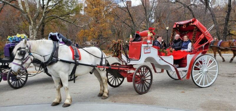 nyc-private-christmas-lights-horse-carriage-ride-2