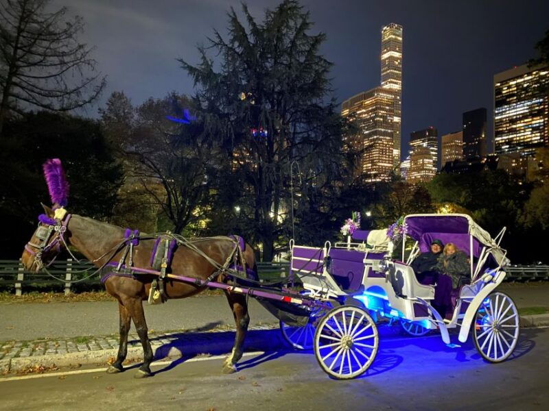 nyc-private-christmas-lights-horse-carriage-ride
