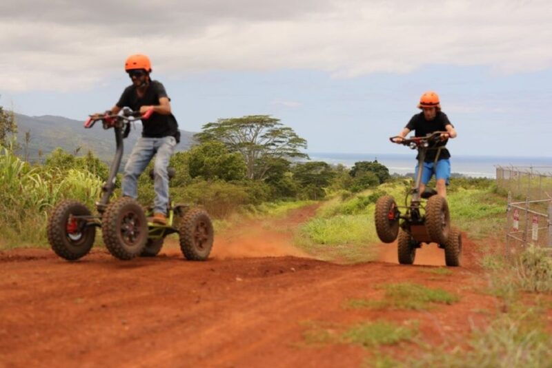 oahu-haleiwa-da-mongoose-ezraider-1-5-hour-atv-adventure