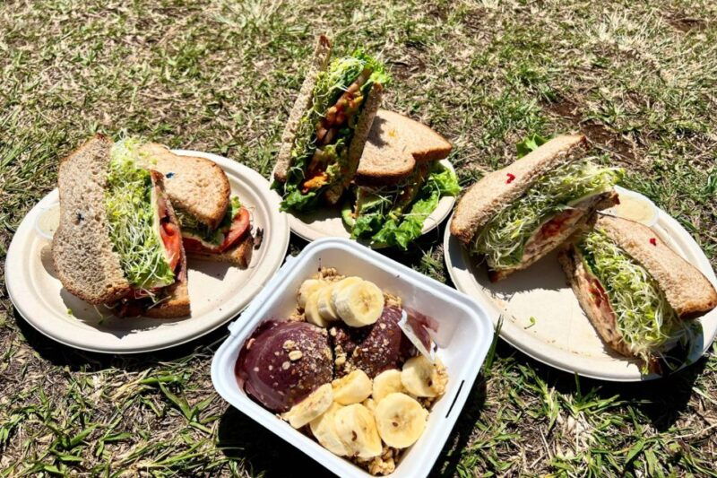 oahu-manoa-falls-waterfall-hike-with-lunch-and-transfers