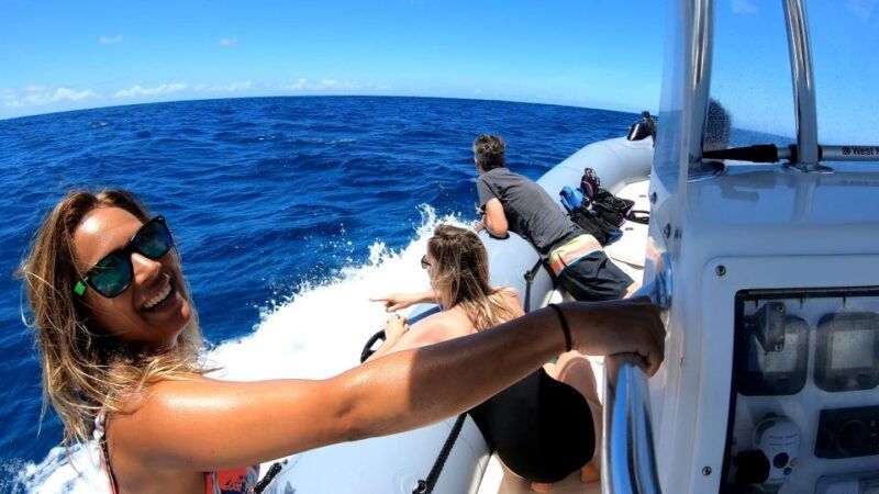 oahu-private-whale-watching-adventure