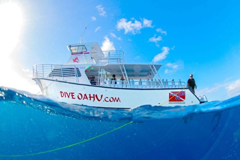 oahu-shallow-reef-scuba-dive-for-certified-divers