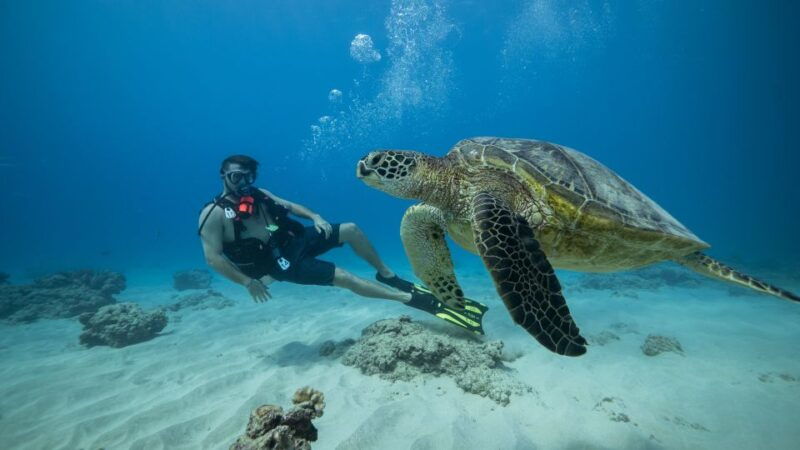 oahu-waikiki-discovery-scuba-diving-for-beginners