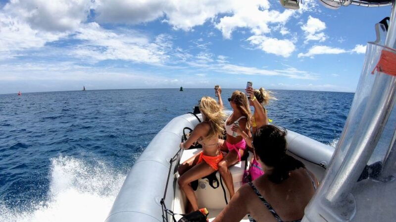 oahu-waikiki-private-snorkeling-and-wildlife-boat-tour