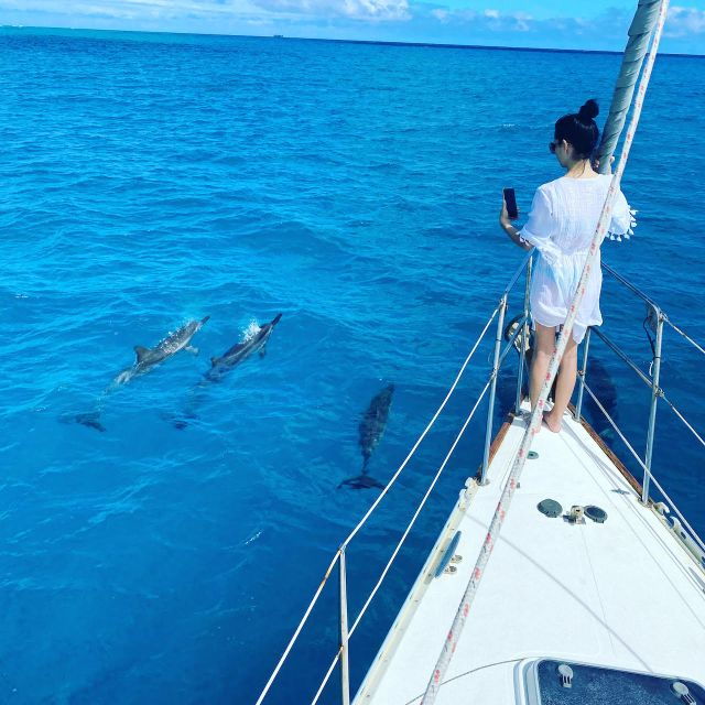 oahu-waikiki-sailing-turtle-snorkeling-in-small-groups