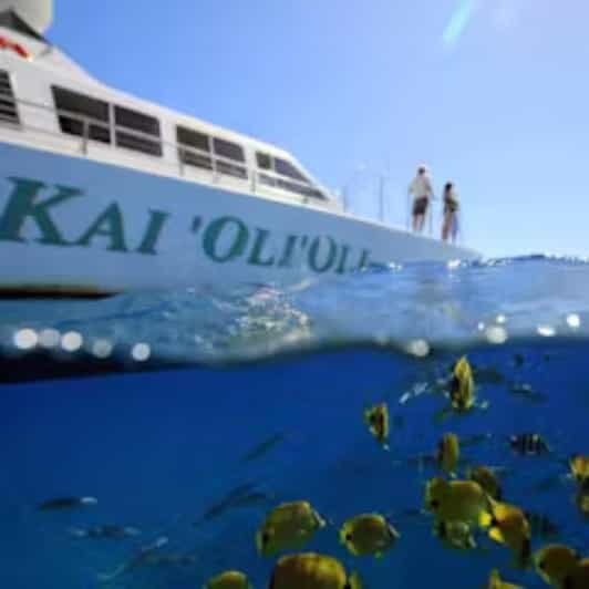 oahu-whales-dolphins-snorkeling-cruise-with-hawaiian-meal