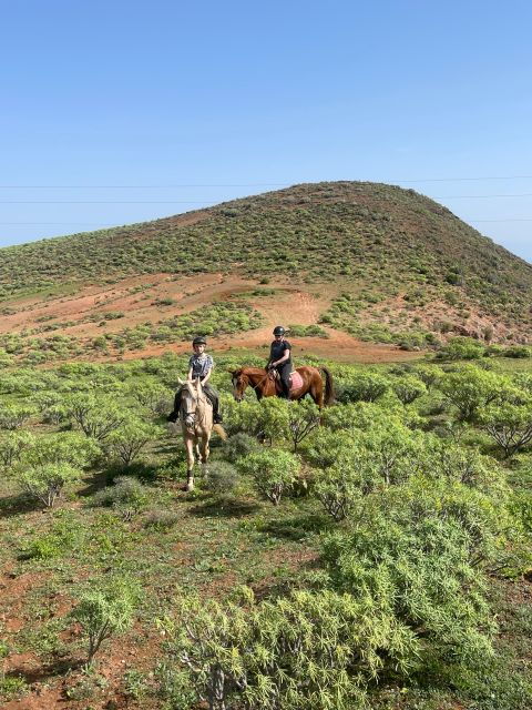 ojos-de-garza-2-hour-las-palmas-mountains-horse-riding-tour