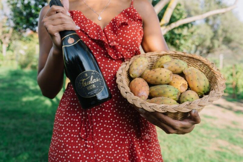 olbia-gallura-winery-guided-tour-with-tasting