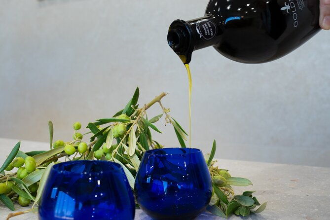 olive-oil-and-winery-tour-from-zaragoza-city