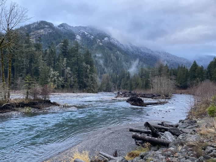 olympic-national-park-half-day-tour