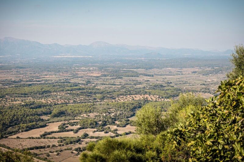 on-road-buggy-tour-mallorca-2