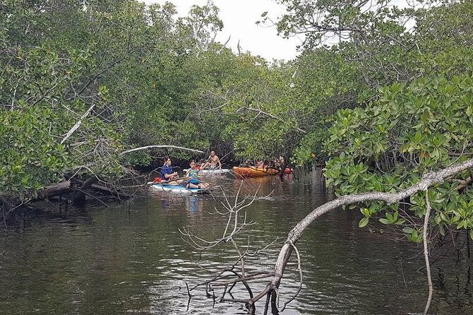 one-way-ticket-to-paradise-ft-lauderdale-exploration-paddle-tour