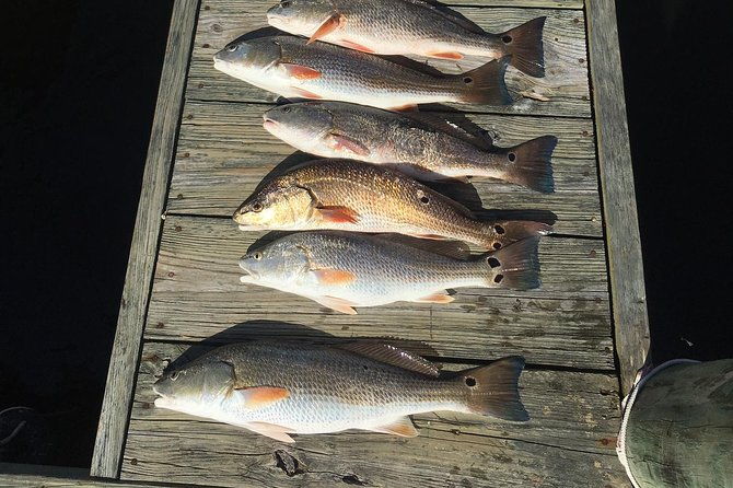 oriental-neuse-river-fishing-trips-scenic-tours