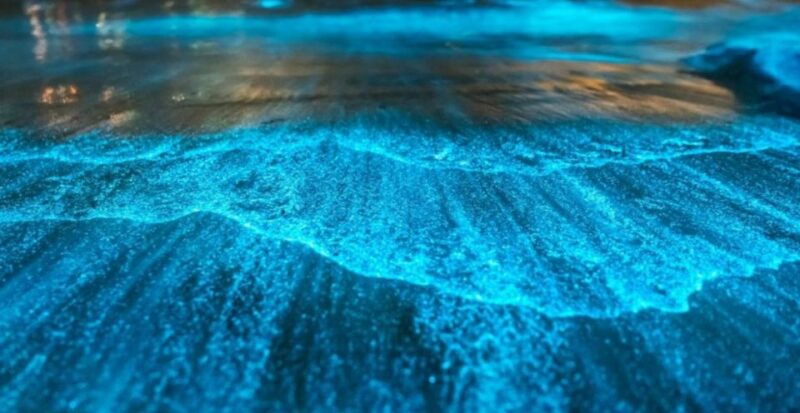 orlando-bioluminescence-kayak-adventure