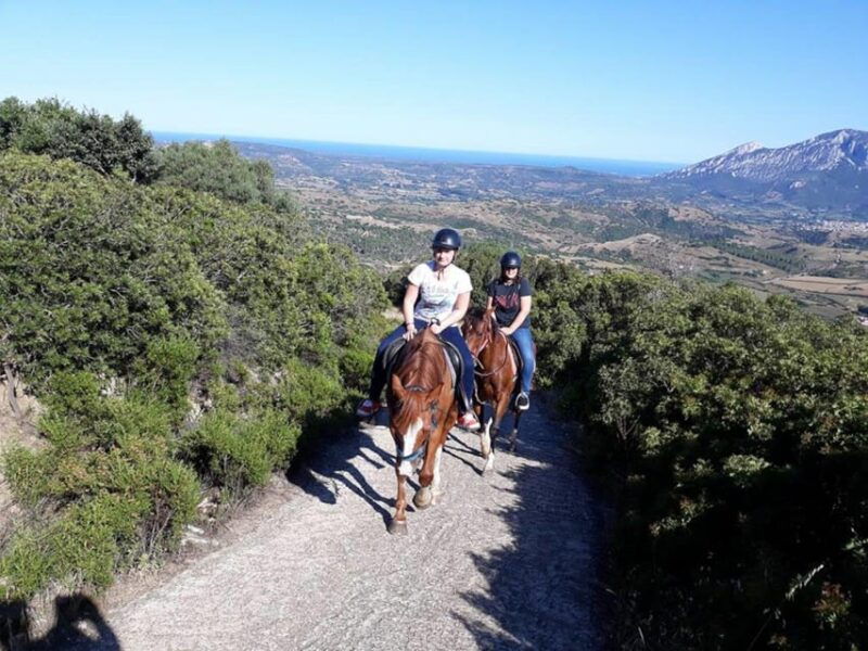 orosei-horseback-riding-in-the-irgoli-area