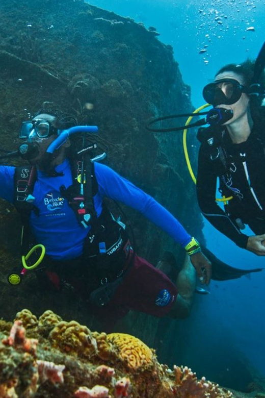 padi-discover-scuba-diving-los-cancajos-la-palma
