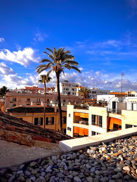 palma-authentically-city-tour-with-snacks-and-wine