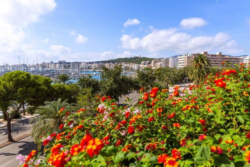 palma-express-walk-with-a-local-in-60-minutes