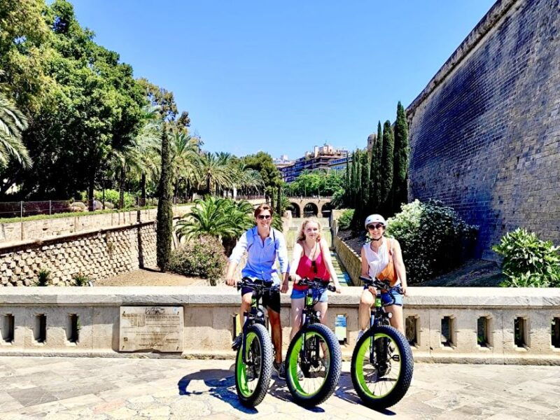 palma-guided-city-tour-with-a-fat-tire-e-bike