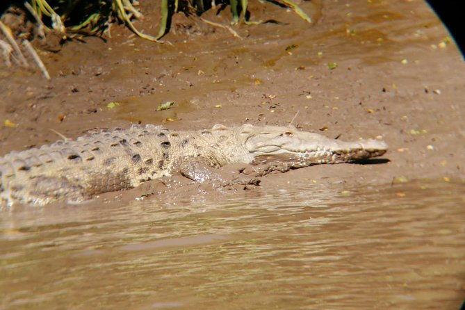 palo-verde-national-park-boat-and-wildlife-tour-one-day-tour