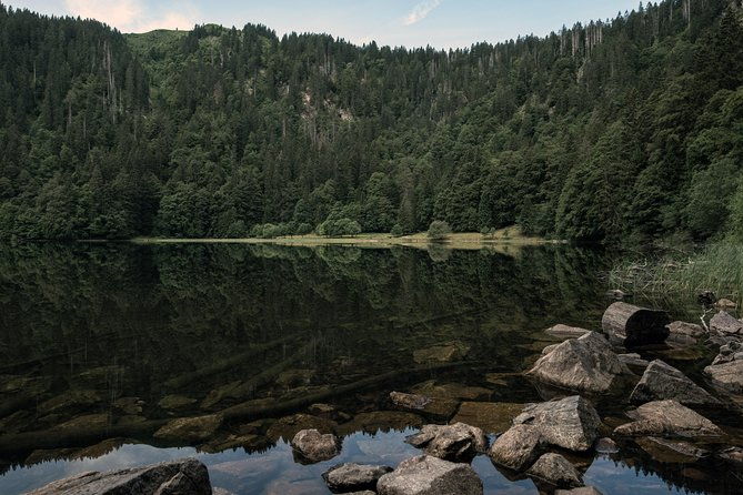 panorama-hike-through-the-black-forest-guided-by-a-local