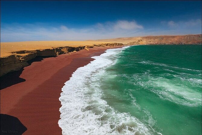 paracas-buss-national-reserve