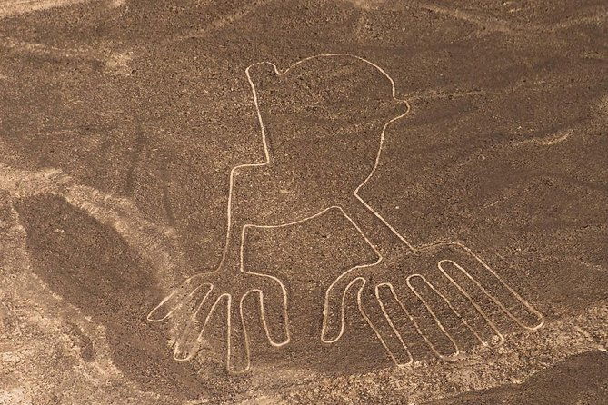 paracas-shore-excursion-nazca-lines-tour