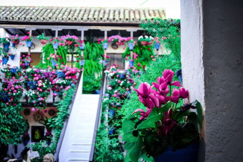 patios-of-cordoba-walking-tour
