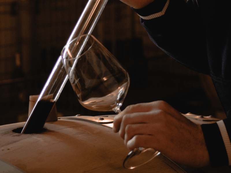 pavia-organic-winery-visit-wine-tasting-with-food-platter