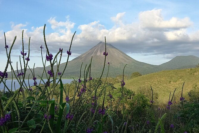 peak-pursuit-embark-on-the-arenal-volcano-hike-expedition