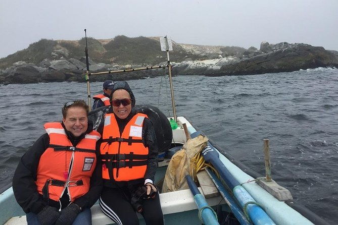 penguins-watching-navigation-horseridebarbecue-from-valparaiso