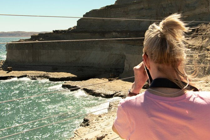 peninsula-valdes-puerto-madryn-shared-tour-for-cruises