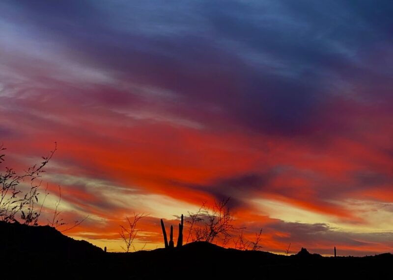 phoenix-amazing-two-hour-guided-hike-in-the-sonoran-desert