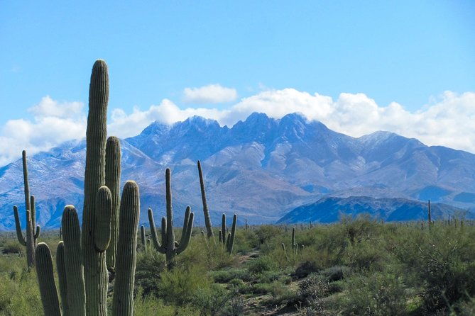 phoenix-wilderness-hiking-tours