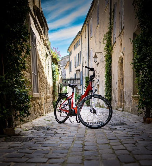 picnic-in-the-middle-of-olive-groves-by-e-bike