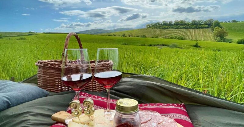 picnic-in-the-organic-vineyards-of-brunello