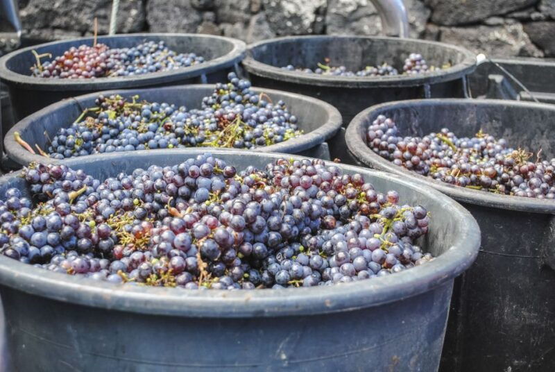 pico-island-full-day-wine-culture-tour