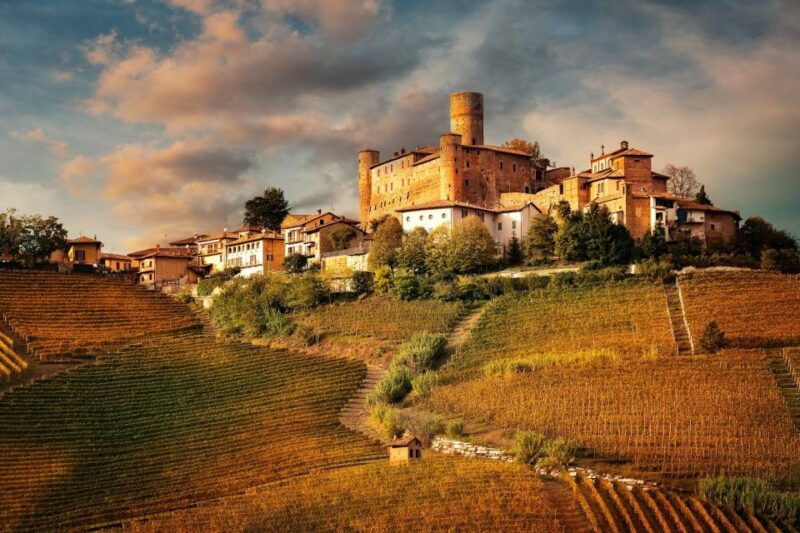 piedmont-2-hour-winery-visit-with-barolo-wine-tasting