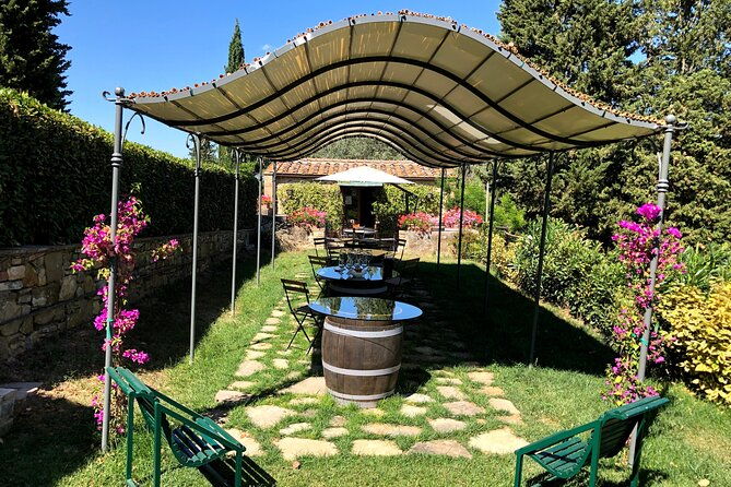 pisa-lucca-winery-private-tour-from-livorno-port