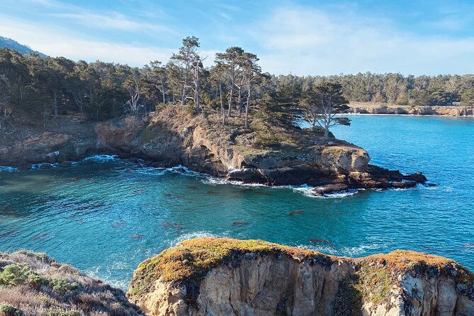 point-lobos-a-private-charming-ocean-tour