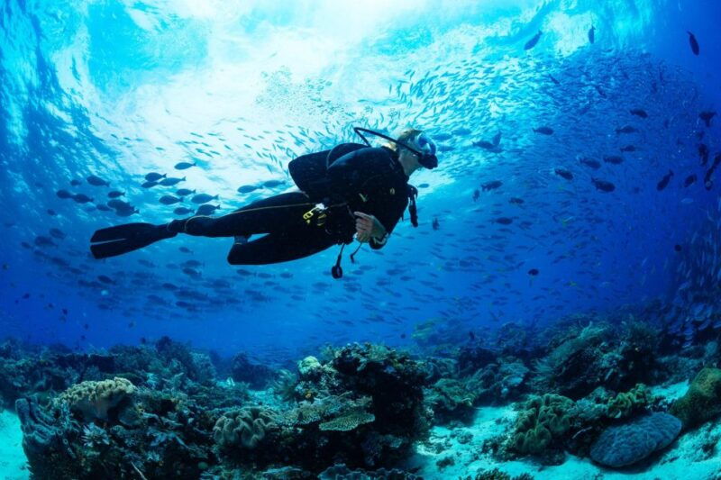 polignano-a-mare-scuba-experience-with-certification