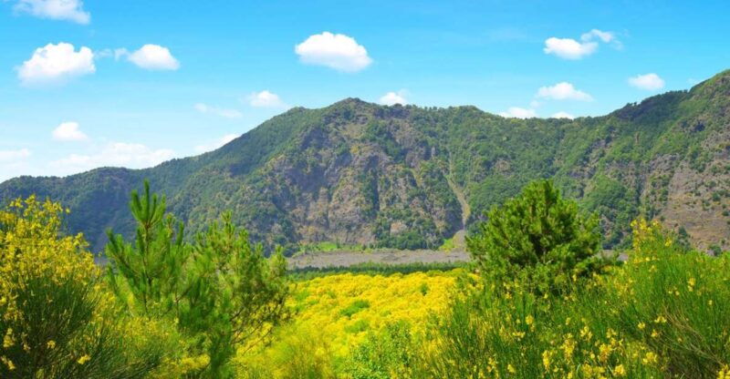 pompeii-herculaneum-and-vesuvius-tour